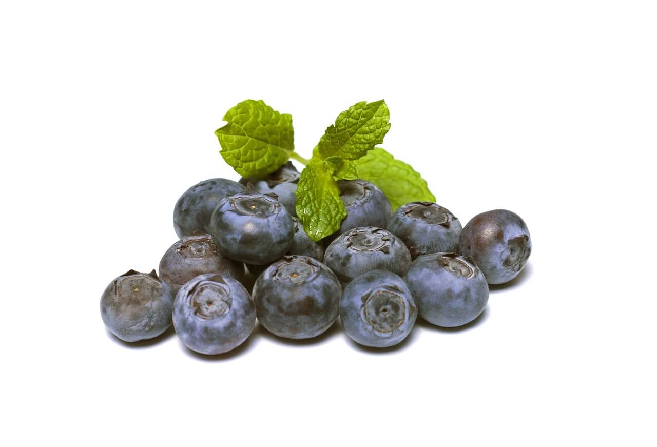 What Is Blueberry In Hindi ब्लूबेरी के 10 फायदे » Only My Fitness