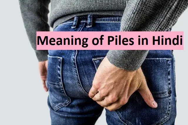 Meaning of piles in Hindi